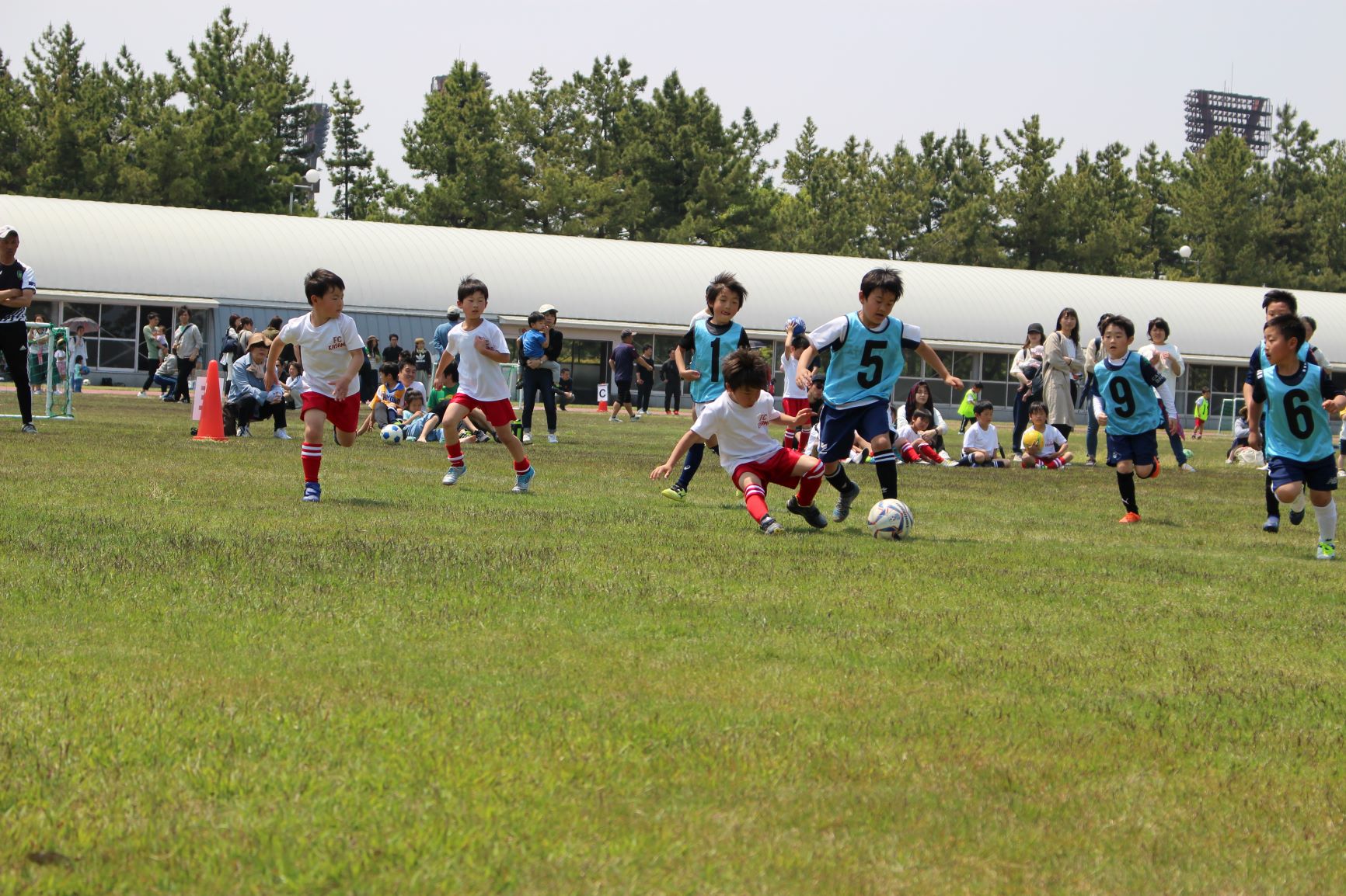 FC.TONジュニアアカデミー FC. TON フットボールNAVI