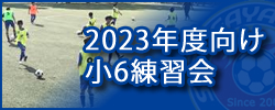 2023Nx6K