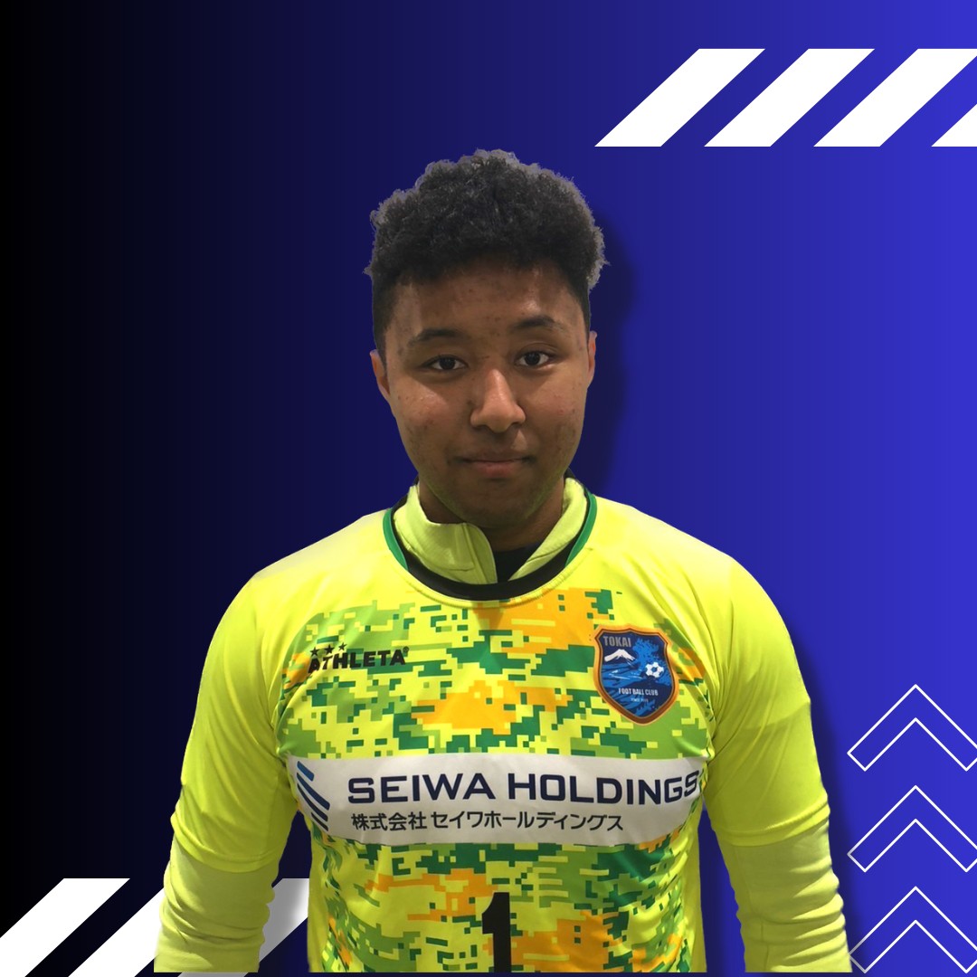 �g�c �f�B�A���W�F��